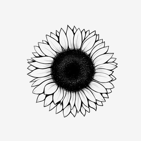 sunflower,sun,flower,nature,tree,yellow flower,sunshine,lineart,outline,drawing,handdraw,black and white,flower drawing Sun Flowers Drawing, Black And White Flower Drawing, Sunflower Outline, Ftd Flowers, Flower Black And White, Sunflower Illustration, Sun Drawing, Sunflower Drawing, Sunflower Clipart