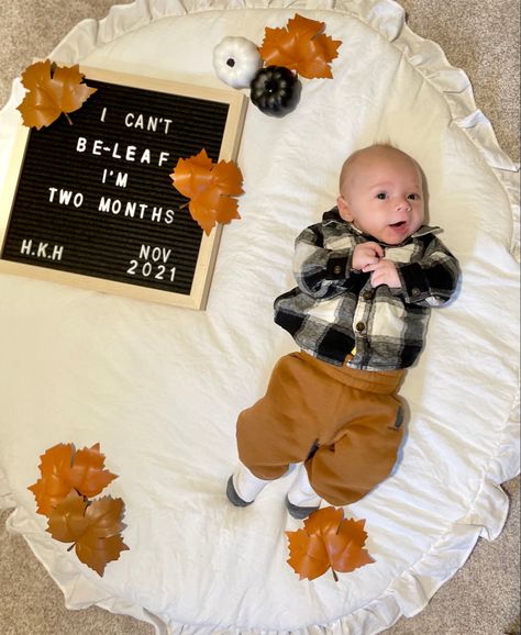 Two Month Old Letter Board Ideas, Themed Milestone Pictures, Five Month Milestone Picture, 2 Months Old Letter Board, 10 Months Milestones Photo Ideas, 6 Month Old Thanksgiving Pictures, 1 Month Fall Photoshoot, November One Month Baby Picture, Fall 2 Month Old Pictures