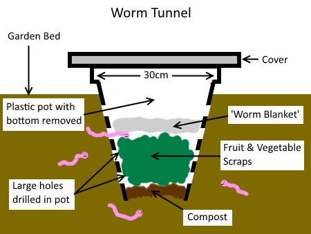 Worm Farm Diy, Small Compost Bin, Shade Grass, Diy Compost, Vegetable Scraps, Worm Composting, Worm Farm, Permaculture Design, Garden Compost