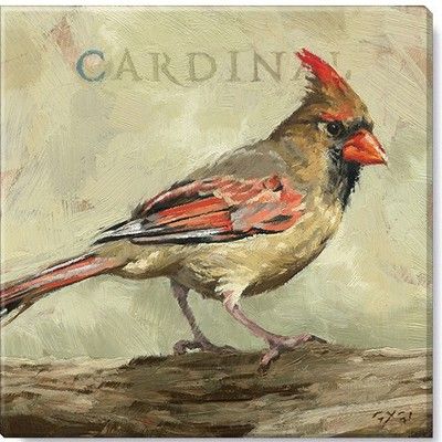 Cardinal Birds Art, Female Cardinal, Bird Canvas, Cardinal Bird, Le Male, Cardinal Birds, Bird Art Print, Bird Drawings, Bird Photo