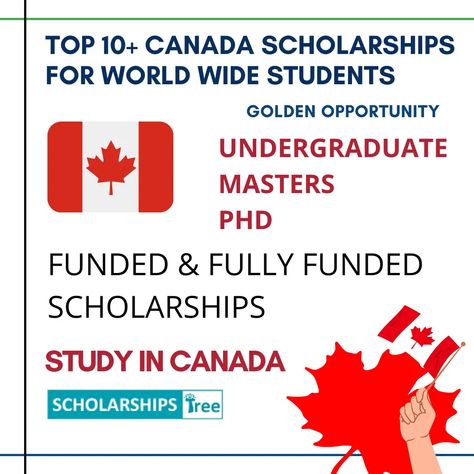 Top 10 Scholarships in Canada. Scholarships to Canada. Study in Canada. Canada Scholarships 2021. Scholarships Canada. Bachelors Scholarships. Masters Scholarships. Ph.d Scholarships. Doctoral Scholarships. Undergraduate Scholarships. Canada Scholarships, Masters Scholarships, Finance Analyst, Scholarships For College Students, University Of Regina, Graduate Scholarships, Undergraduate Scholarships, Canada Study, Sat Math