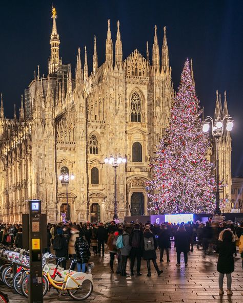 Amazing eyes (@Amazingeye55) on X Milan Duomo, Elegant Decorations, Majestic Tree, Piazza Del Duomo, Amazing Eyes, Galleria Vittorio Emanuele Ii, Italian Heritage, Christmas Markets, Marco Polo