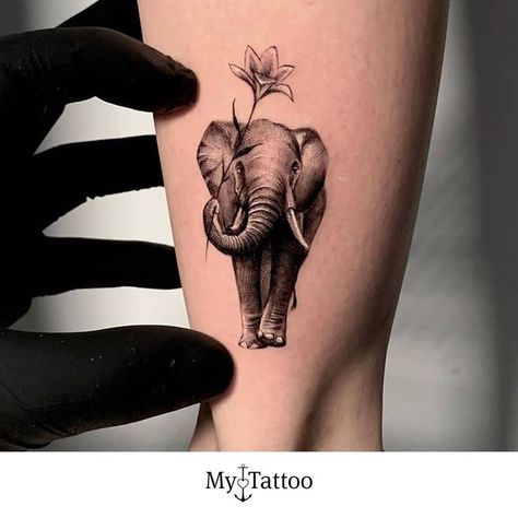 Elephant And Bird Tattoo, Elephant Lion Tattoo Sleeve, Elephant Tattoos On Wrist, Women Elephant Tattoo, Cute Elephant Tattoos For Women, Elephant Sleeve Tattoos For Women, Black Elephant Tattoo, Elephant Trunk Up Tattoo, Elephant Face Tattoo