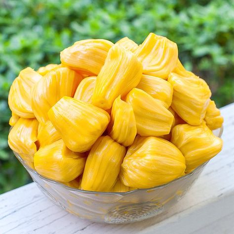 Preparing a jackfruit from scratch can be a difficult experience, but practice makes perfect. The sweet fruit is definitely worth the effort. Jackfruit Tree, Pizza Fruit, Canh Chua, Jackfruit Recipes, Fruit Love, Fruits Photos, Fruit Picture, Yellow Fruit, Fruit Photography