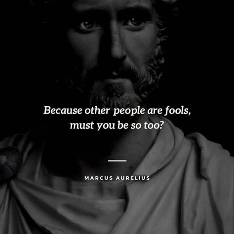 Science Facts Mind Blown, Patience Quotes, Stoicism Quotes, Change Your Perspective, Stoic Quotes, Happy Birthday Dear, Literature Quotes, Perspective On Life, Warrior Quotes