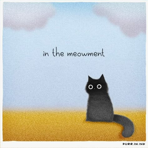 Cat Poems Funny, Cat Person Quotes, Nap Quotes Funny, Pet Quotes Cat, Funny Cat Quotes, Black Cat Pictures, Kitten Quotes, Cat Poems, Cat Cartoons