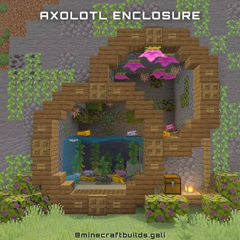 Minecraft Builds & Modeling on Instagram: “Axolotl enclosure Credit by: @minecraftbuilds.gali gali - Comment what you think 💬 - Like & share with your friends 👫👬   Follow:…” Minecraft World Layout Ideas, Cute Minecraft Animal Pen Ideas, Minecraft Watermelon Build, Bat Enclosure Minecraft, Minecraft One Block Ideas, Lava Pool Minecraft, Flower Shops Minecraft, Cute Minecraft Pond Ideas, Strawberry Shortcake House Minecraft