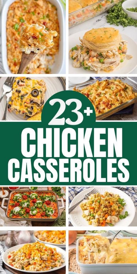 Photo collage of chicken casserole recipes. Chicken Bakes Recipes, Yummy Chicken Casserole Recipes, Easy Chicken Dishes For A Crowd, Chicken Baked Dishes, My Boards Saved Recipes Chicken Casseroles, One Dish Baked Meals, Crescent Roll Chicken Casserole, Small Chicken Casserole Recipes, Chicken Supreme Casserole