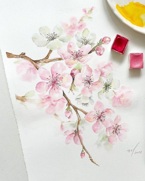 Cherry Blossom Tutorial, Cherry Blossom Painting Acrylic, Pictures Of Spring Flowers, Cherry Blossom Drawing, Cherry Blossom Watercolor, Japanese Cherry Tree, Cherry Blooms, Japanese Blossom, Tree Watercolor Painting