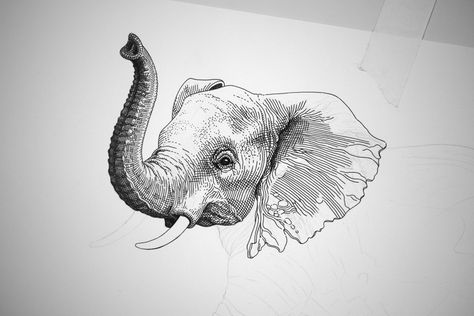 Olivia Knapp - Wild Aid - Year of the Elephant on Behance Elephant Illustration, Elephant Drawing, Ink Illustrations, Image Illustration, Elephant, Tattoos, Drawings, Animals, Art