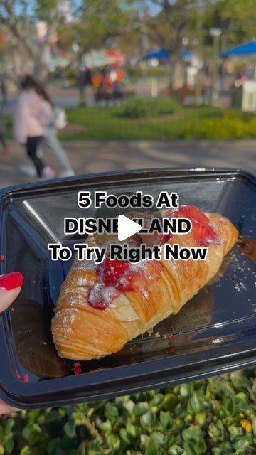 Holiday Chocolate Chip Cookies, Food At Disneyland, Disneyland Treats, Disneyland Snacks, Beef Birria, Toasted Sandwich, Pretzel Bread, Disneyland Food, Holiday Chocolate