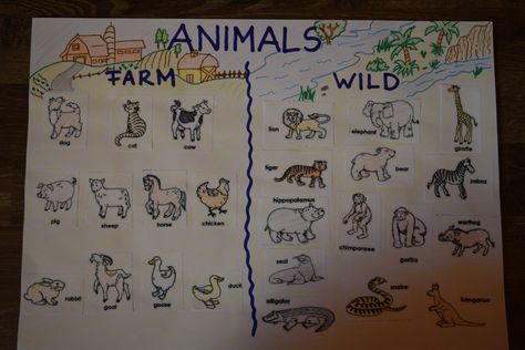 Farm and wild animals anchor chart Domestic And Wild Animals Chart, Wild Animals Chart Preschool, Animals Anchor Chart, Excel Ideas, Animal Chart, Chart Drawing, Daycare Projects, Animals Activities, Farm Animals Activities