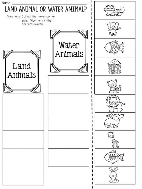 Animals online worksheet for 1. You can do the exercises online or download the worksheet as pdf. Land And Sea Animals Preschool, Sorting Animals Worksheet, Sorting Worksheet For Grade 1, Classifying Animals Activities, Needs Of Animals Worksheet, Land Water Air Animals Worksheet, Land And Water Animals Worksheet, Animal English Worksheet, Land Animals Worksheet