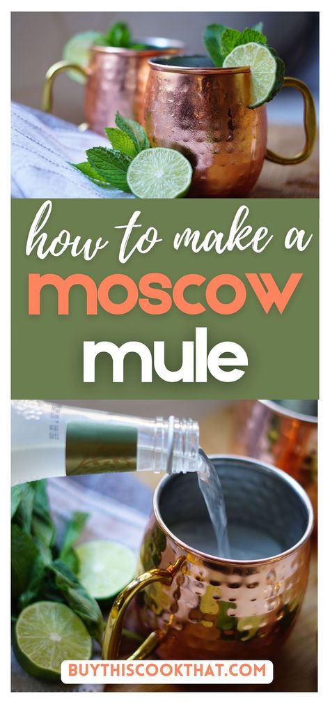 Learn how to make an amazing moscow mule with this easy to follow recipe! Tips, tricks and ideas for moscow mule variatations are all here to help you make the best moscow mule! Moscow Mule Recipe Best, Moscule Mule Recipe, Mule Drink Recipes, Mule Variations, Best Moscow Mule, Mule Drink, Moscow Mule Recipe, Mule Recipe, Punch Recipes