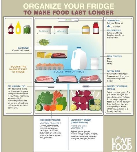 How To Organise Fridge, Proper Food Storage In Fridge, How To Properly Store Food In Fridge, Fridge Organization Chart, Refrigerator Storage Times, Fridge Zones Organization, Storing Food In Fridge, How To Begin Food Storage, How To Store Food In Fridge