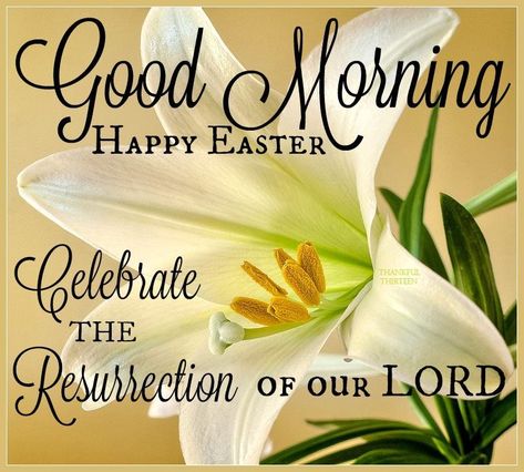 Good Morning Happy Easter Celebrate The Resurrection Good Morning Happy Easter, Happy Easter Religious, Easter Inspirational Quotes, Happy Resurrection Sunday, Happy Resurrection, Happy Easter Messages, Happy Easter Pictures, Happy Easter Quotes, Easter Prayers