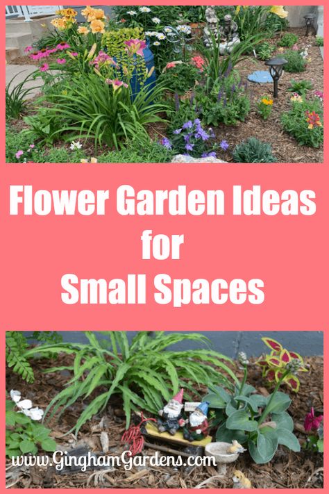 Do you have a small yard, but would still like to have a flower garden? Or, maybe you have a large yard, but only have time for a small flower garden. Perhaps you love to garden, so you have lots of different flower gardens both large and small. Whatever the case may be, here are some fun Flower Garden Ideas for Small Spaces. #gardenideasforasmallyard #flowergardenideas #miniaturehostagarden #miniaturegnomegarden #fairygarden Small Flower Garden, Garden Ideas For Small Spaces, Moving Plants, Flower Garden Ideas, Small Flower Gardens, Garden Flowers Perennials, Flower Board, Perennial Flower, Hosta Gardens