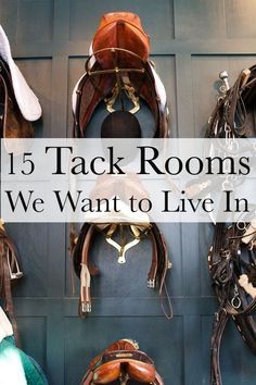 Equine Tack Room Ideas, Tack Shed Ideas Design, Saddle Rack Ideas Tack Rooms, Beautiful Tack Room, 12x12 Tack Room Ideas, Bridle Hooks Tack Room, Saddle Room Ideas, Tack Room Interior, Tack Room Decorating Ideas