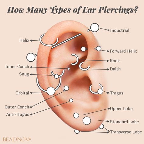 How Many Types of Ear Piercings? Click to find out more. Ear Piercing Pain Chart, Eyebrow Piercing Horizontal, Pierce Hawthorne, Piercing Pain Chart, Piercing No Rosto, Types Of Body Piercings, Piercings Belly Button, Piercing Names, Tongue Web Piercing