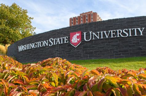 Whitworth University, Eastern Washington University, Pullman Washington, Academic Awards, College Necessities, Usa University, Eastern Washington, Washington State University, Work Abroad