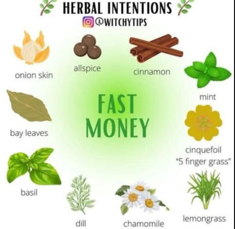 Money Drawing Herbs, Herbs For Money, Money Powder, Money Oil Recipe, Essential Oil Perfume Blends, Simmer Pots, Spelling Homework, Candle Magic Spells, Simmer Pot Recipes