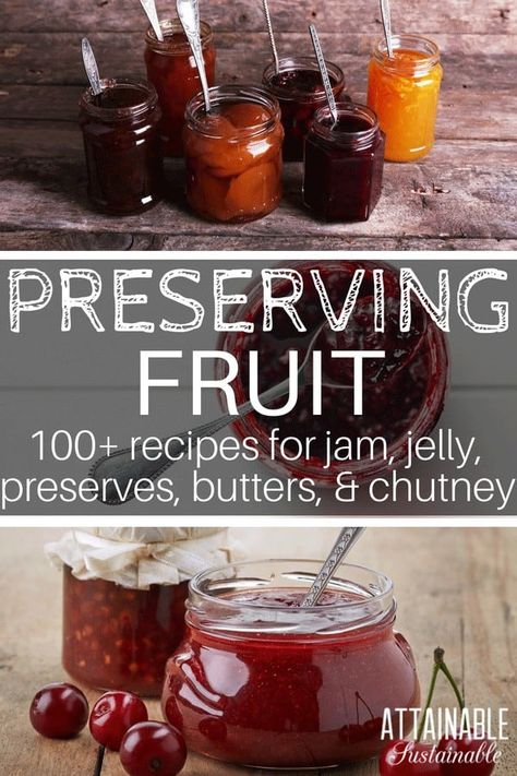 How To Make Fruit Preserves, Diy Fruit Preserves, Canned Jams And Jellies, Making Jelly Homemade, Making Preserves, Canning Jelly, Jam Preserves, Homestead Pantry, Preserving Fruit