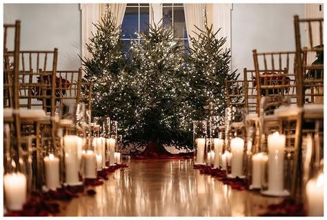 Tree Wedding Ceremony, Christmas Wedding Themes, Christmas Wedding Inspiration, Christmas Wedding Ideas, Rustic Winter Wedding, Winter Wedding Decorations, Winter Wedding Flowers, Romantic Christmas, December Wedding