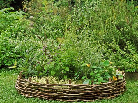 Potager Herb Garden - Groups of symmetrically arranged raised beds provide an easy and attractive way to cultivate a wide range of herbs. Wattle Fence, Potager Garden, Small Backyard Gardens, Pergola Patio, Backyard Fences, Garden Edging, Garden Bed, Peterborough, Garden Structures