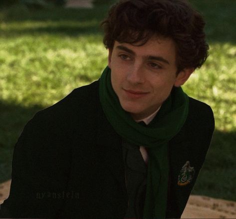 Timothée chalamet fan casted as regulus black Regulus Acturus Black, Hogwarts Aesthetic, Timmy T, Regulus Black, All The Young Dudes, Harry Potter Marauders, Black Families, Marauders Era, Mischief Managed