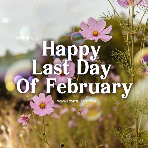 Happy Last Day Of February quotes february march happy last day of february last day of february quotes image for last day of february last day of february happy last day of february images pictures for last day of february last day of february in 2023 last day of february for 2023 happy last day of february 2023 happy last day of february quotes Last Day Of February Quotes, February Pictures, February Images, February Quotes, Days In February, Tumblr Image, February 2023, Upload Image, Social Networking Sites