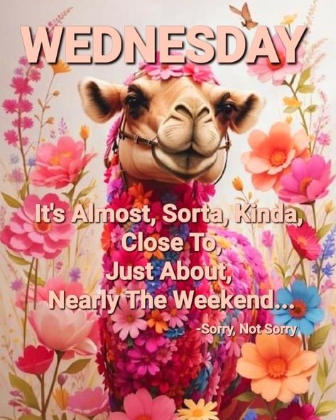 Ugh Monday Humor, Saturday Humor Hilarious, Wednesday Humor Funny Hilarious, Wednesday Funny Quotes, Wednesday Funny, Wednesday Sayings, Funny Wednesday, Hump Day Humor, Wednesday Humor