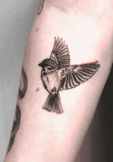 House Sparrow Tattoo Design Images (House Sparrow Ink Design Ideas) House Sparrow Tattoo, Small Sparrow Tattoo, Sparrow Tattoo Meaning, Sparrow Bird Tattoo, Sparrow Tattoo Ideas, Tattoo Sparrow, Sparrow Tattoos, Songbird Tattoo, Sarah Tattoo