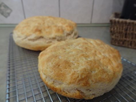 They look the same size Baked Bannock, Recipe For Stew, Recipe Beef Stew, Bannock Recipe, Bannock Bread, Flat Cake, Flat Cakes, Recipe Beef, Scottish Recipes