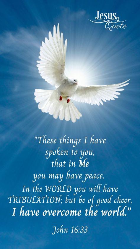 Jesus Quote - "These things I have spoken to you, that in Me you may have peace. In the world you [a]will have tribulation; but be of good cheer, I have overcome the world.” ~ John 16:33 Be Of Good Cheer Scripture, John 16:33, Peace Bible Quotes, Bible Phrases, Jesus Quotes Bible, Be Of Good Cheer, I Have Overcome The World, Peace In The World, Pentecost Sunday