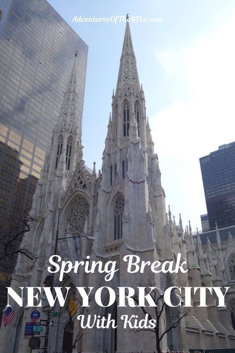 Spring Break in New York City with Kids.  Join our family as we split a week between New York City and Washington D.C.  While in New York, our travel adventures take us to the Empire State Building, the Metropolitan Museum of Art, Times Square, and more.  What an amazing travel destination! #adventuresofthe4jls #travel #newyorkcity #nyc #newyork #usa #northamerica #familytravel New York City With Kids, Family Vacations Usa, Spring In New York, Voyage New York, The Empire State Building, Us Travel Destinations, New York City Travel, Ny City, Spring Trip