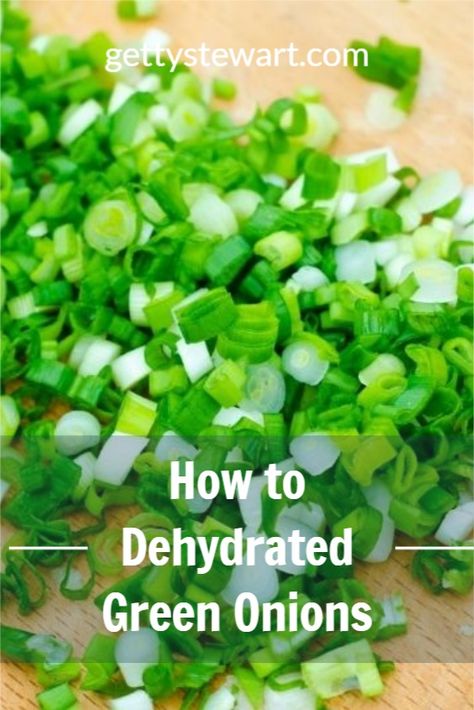 Dehydrated Green Onions, Dehydrating Green Onions, Drying Green Onions, How To Dehydrate Onions, Dehydrating Celery In Dehydrator, Food Dehydrator Ideas, Dehydrating In Air Fryer, Dehydrate Green Onions, Dehydrate Eggs