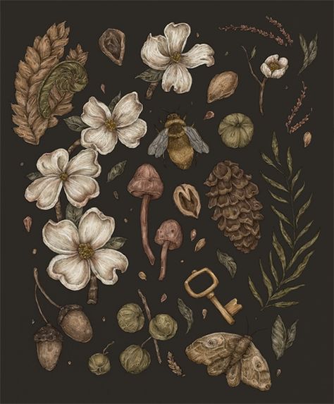 Jessica Roux Dark Naturalism, Illustration Botanique, Walking In Nature, Art And Illustration, Botanical Illustration, Flowers And Leaves, Art Paint, Botanical Art, Botanical Prints