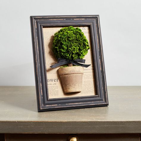 Moss Picture Frame, Mini Topiary, Moss Decorations, Tabletop Topiary, Moss Decor, Decorative Plaques, Moss Wall Art, Picture Frame Decor, Moss Art