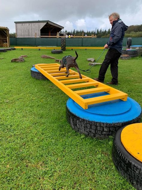 Homemade Agility Course For Dogs, Diy Dog Obstacle Course, Dog Playground Diy, Sniffspot Ideas, Dog Obstacle Course Diy, Dog Playground Backyard Diy, Obstacle Course For Dogs, Diy Dog Park, Dog Parkour