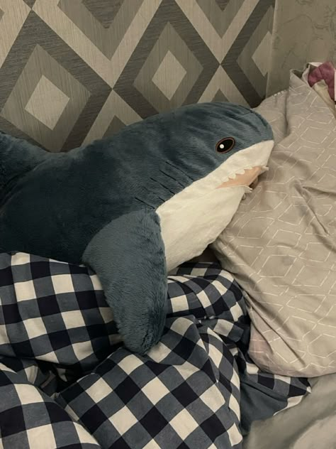 Blahaj Shark Wallpaper, Shark Plushie Aesthetic, Blahaj Shark Aesthetic, Blåhaj Pfp, Ikea Shark Aesthetic, Blajah Shark, Blahaj Pfp, Shark Room Aesthetic, Ikea Blahaj