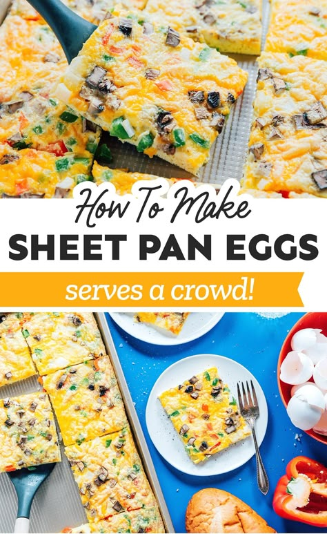 Egg Bake Bundt Pan, Easy Sheet Pan Eggs, Sheet Pan Egg Casserole, Eggs In A Sheet Pan, Baked Eggs For Sandwiches, Egg Bake For Large Group, Large Egg Bake, How To Make Eggs In The Oven, Egg Pan Breakfast