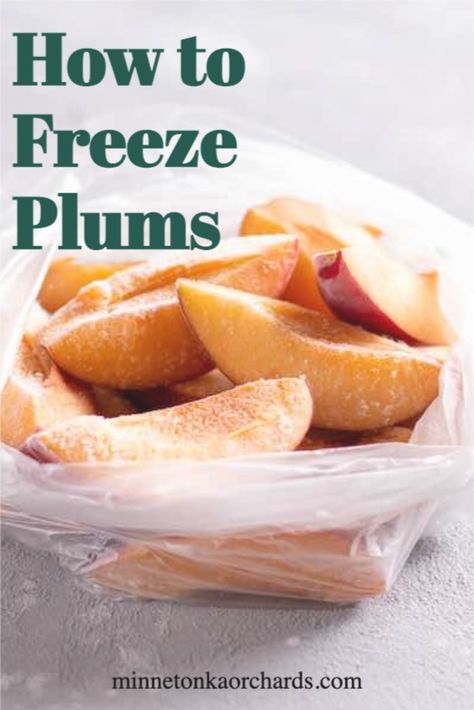 Can You Freeze Fresh Plums, Freeze Plums How To, What To Do With Italian Plums, Freezing Fresh Plums, How To Freeze Fresh Plums, Freeze Dried Plums, How To Freeze Plums, How To Preserve Plums, Recipes Using Fresh Plums