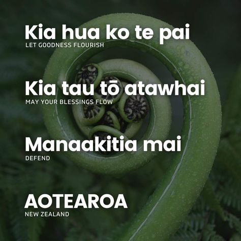 Maori Sayings, Te Reo Maori Resources, Survivor Necklace, Maori Words, Māori Culture, Instagram Quotes Captions, Health Quotes, Instagram Quotes, New Zealand