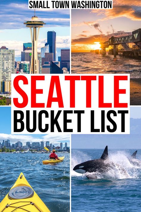 Seattle Whale Watching, Seattle Washington Things To Do Fall, Seattle Must Do, What To Do In Seattle Washington, What To Do In Seattle, Seattle Washington Things To Do, Seattle Attractions, Small Town Washington, Washington Things To Do