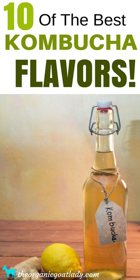 Kombucha Flavors Recipes, Best Kombucha, Diy Kombucha, Kombucha Flavors, How To Brew Kombucha, Homemade Kombucha, Kombucha Recipe, Probiotic Drinks, Kombucha Tea