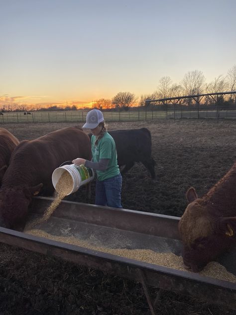 How Corn Farmers Cattle Ranchers and Propane Suppliers Work Together Towards Sustainability Rancher Life, Cattle Ranch, Cattle Farm Aesthetic, Cattle Ranch Aesthetic, Texas Cattle Ranch, Starting A Cattle Ranch, Corn Grain, Art Club Projects, Cattle Farming