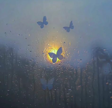 Butterflies, Blue