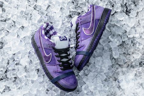 Concepts Nike SB Dunk Low Purple Lobster Purple Lobster, Nike Sb Dunk Low Pro, Nike Sb Dunk Low, Sb Dunk Low, Nike Sb Dunks Low, Nike Sb Dunk, Nike Sb Dunks, Sb Dunk, Nike Sports