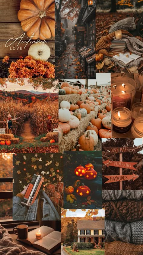 September Ipad Wallpaper, Ipad Wallpaper Fall Aesthetic, Autumn Aesthetic Wallpaper Ipad, Autumn Wallpaper Ipad, Autumn Ipad Wallpaper, Pumpkin Patch Wallpaper, Fall Wallpaper Collage, Fall Wallpaper Ipad, Autumn Phone Wallpaper