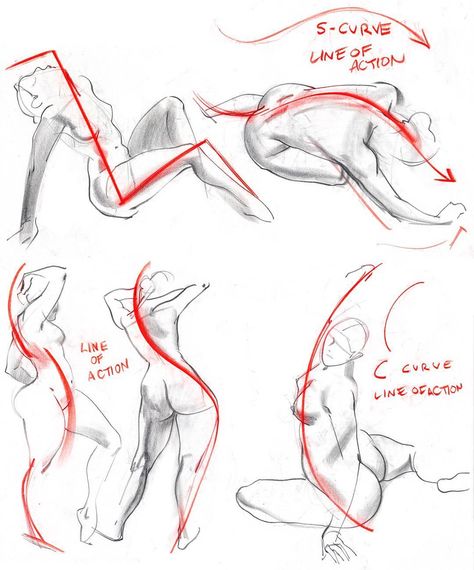 George Cwirko Godycki on Instagram: “I teach figure drawing more for animators than illustrators these days; which means the emphasis on line of action has become greater than…” Body Proportion Drawing, Drawing Notes, Line Of Action, Croquis Drawing, Figure Drawing Tutorial, Nude Artwork, Pencil Sketch Images, Human Anatomy Drawing, Drawing Examples